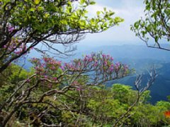014.JPG