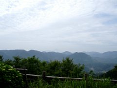 003.JPG