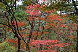H201102-1.JPG
