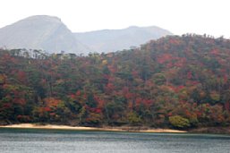 H201102-17.JPG