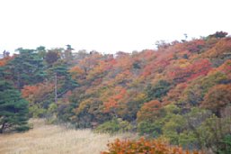 H201102-6.JPG