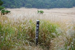 H201102-7.JPG