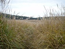 H201102-8.JPG