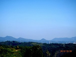 010.JPG