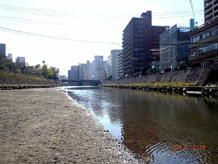 011.JPG