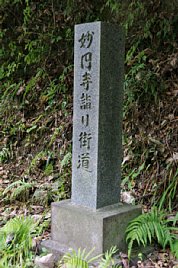 R021101-5.JPG