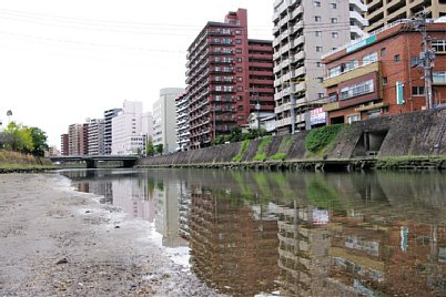 R021101-8.JPG